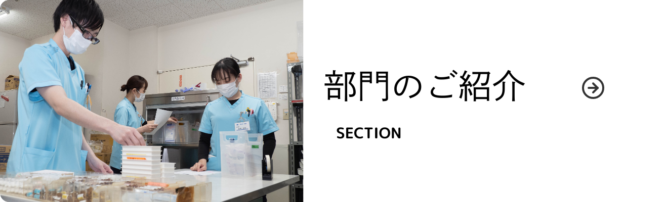 部門のご紹介